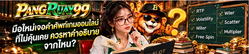 มือใหม่เจอคำศัพท์เกมออนไลน์ที่ไม่คุ้นเคย ควรหาคำอธิบายจากไหน | PANGRUAY99